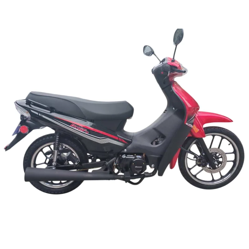 BACCIO P110FX
